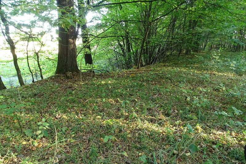 kruchaweczka