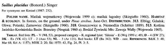 Malak wejmukowy - Suillus placidus, Wojewoda W. 2003 r., Checklist of Polish Larger Basidiomycetes