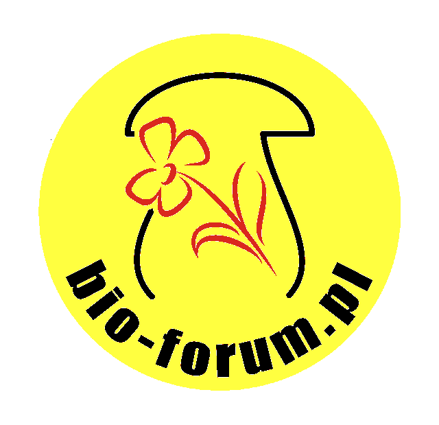 logo forum