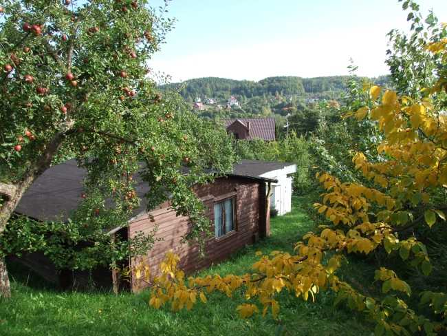 widok ze stanowiska dziezek