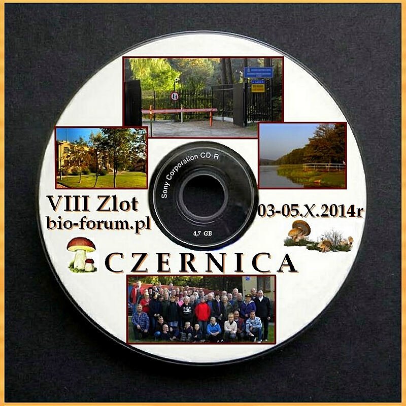 Prezentacja p&#179;yty DVD